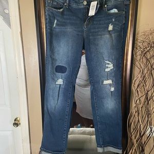 Brand New Torrid Jeans